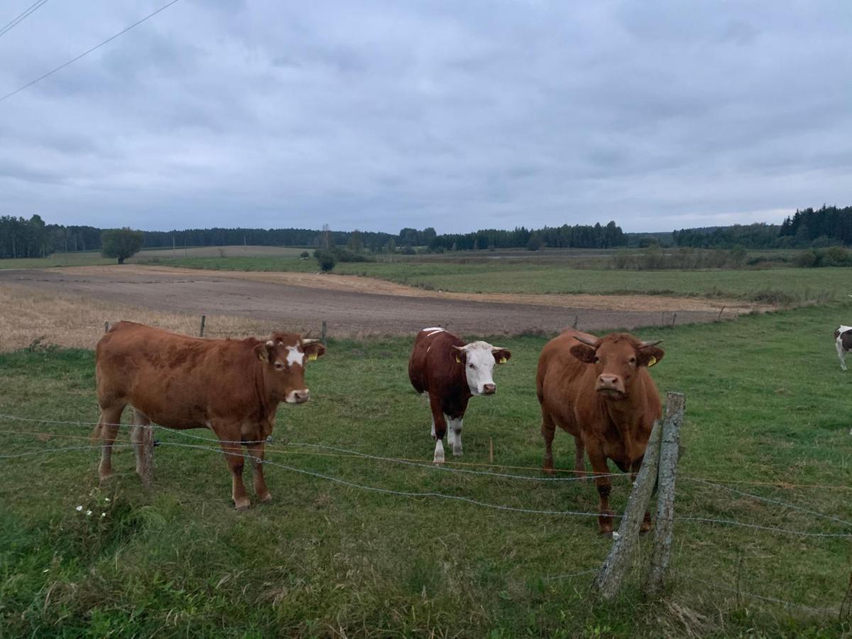 Gizycko-Przerwanki Domki Widok Na Mazury Eksteriør bilde