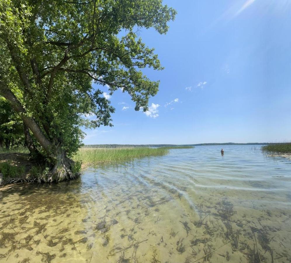 Gizycko-Przerwanki Domki Widok Na Mazury Eksteriør bilde