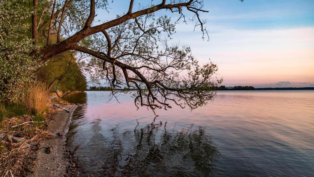 Gizycko-Przerwanki Domki Widok Na Mazury Eksteriør bilde