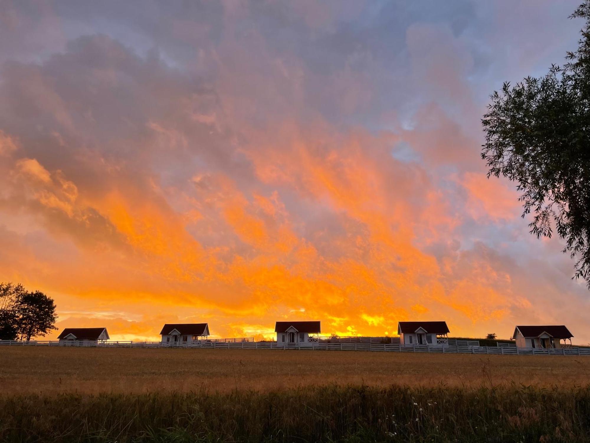 Gizycko-Przerwanki Domki Widok Na Mazury Eksteriør bilde