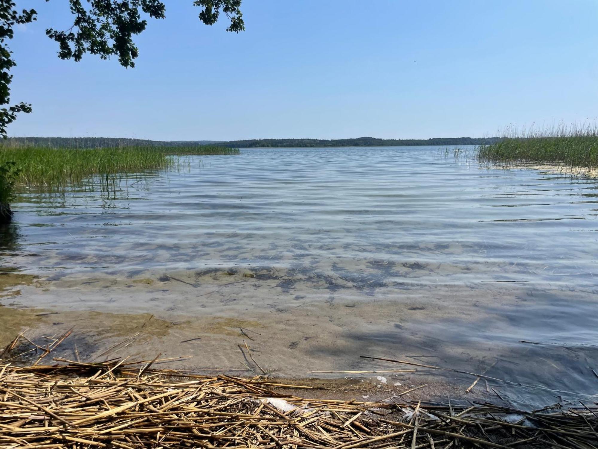 Gizycko-Przerwanki Domki Widok Na Mazury Eksteriør bilde