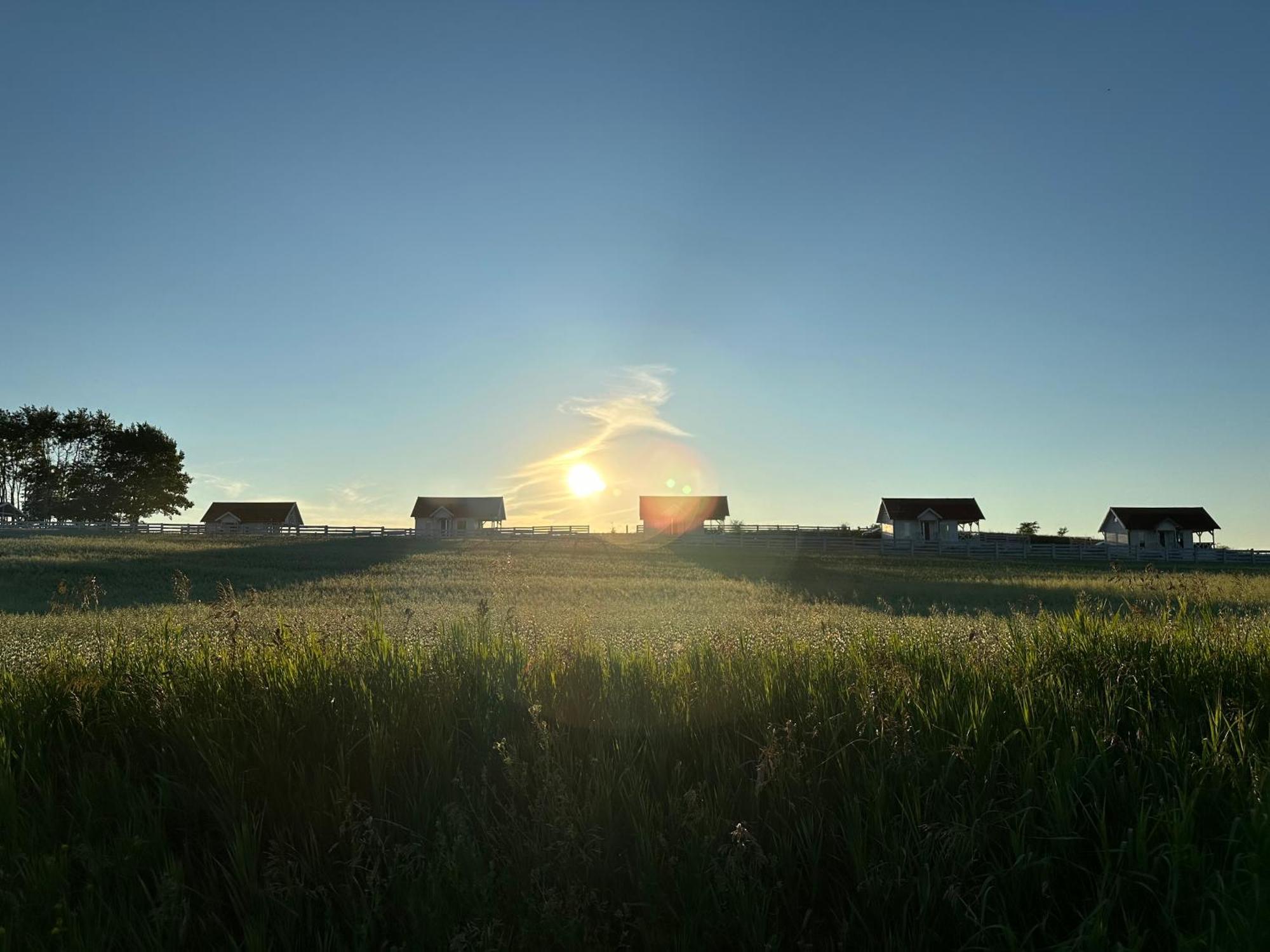 Gizycko-Przerwanki Domki Widok Na Mazury Eksteriør bilde