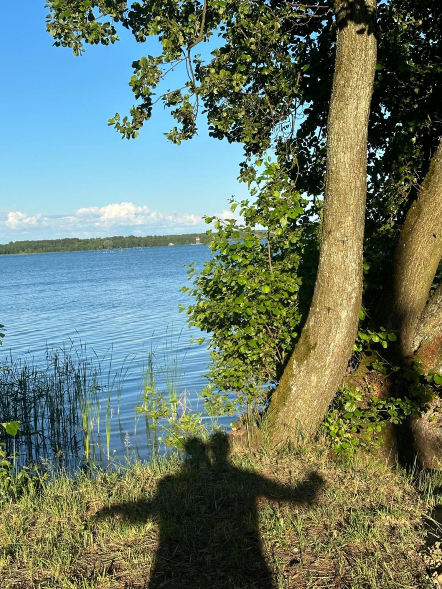 Gizycko-Przerwanki Domki Widok Na Mazury Eksteriør bilde
