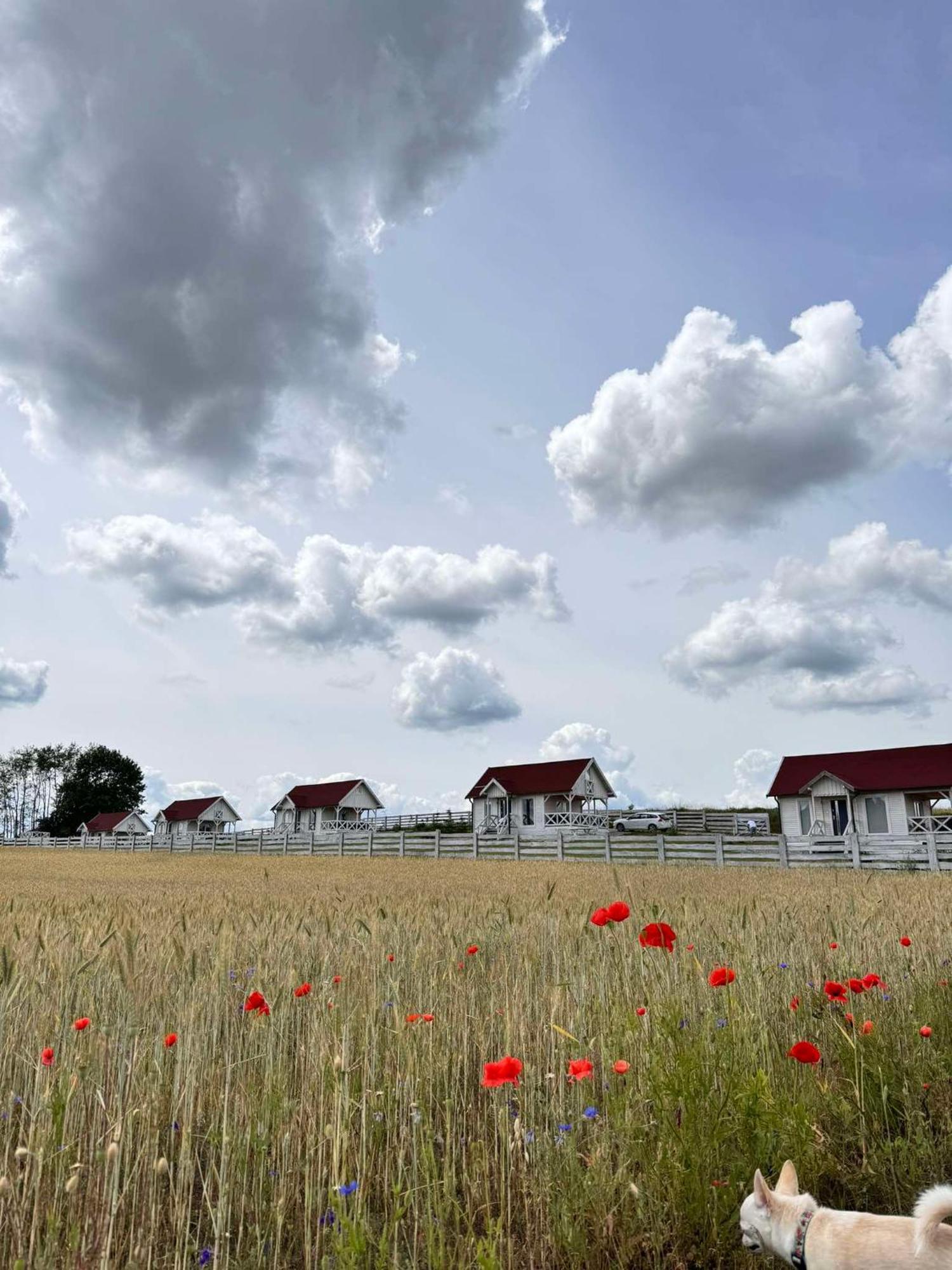 Gizycko-Przerwanki Domki Widok Na Mazury Eksteriør bilde